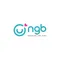 CÔNG TY CỔ PHẦN NGB RETAIL