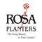 CÔNG TY TNHH ROSA PLANTERS VIỆT NAM