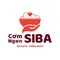 CÔNG TY TRÁCH NHIỆM HỮU HẠN CƠM NGON SIBA