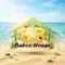 CÔNG TY TNHH THƯƠNG MẠI VÀ DỊCH VỤ BABOO HOUSE