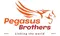 CÔNG TY CỔ PHẦN PEGASUS BROTHERS