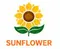 CÔNG TY CỔ PHẦN ĐẦU TƯ THƯƠNG MẠI VÀ DỊCH VỤ SUNFLOWER