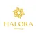 CÔNG TY CỔ PHẦN ĐẦU TƯ VÀ PHÁT TRIỂN DU LỊCH HALORA HOLDINGS