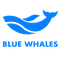 Công ty TNHH BLUEWHALES
