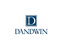 CÔNG TY LUẬT TNHH DANDWIN