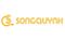 CÔNG TY TNHH ĐẦU TƯ CÔNG NGHỆ THƯƠNG MẠI SONG QUỲNH