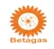 CÔNG TY TNHH KHÍ DẦU MỎ HÓA LỎNG BE TA GAS