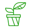CÔNG TY TNHH MEGA SEED