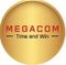 CÔNG TY CỔ PHẦN MEGACOM QUỐC TẾ