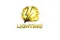 CÔNG TY TNHH LIGHTING ENTERTAINMENT