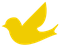 CÔNG TY TNHH CANARY SOLUTIONS