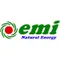 Công ty Cổ phần Đầu tư EMI