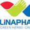 CÔNG TY CỔ PHẦN DƯỢC PHẨM QUỐC TẾ LĨNH NAM