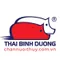 CÔNG TY CỔ PHẦN THƯƠNG MẠI DỊCH VỤ SẢN XUẤT THÁI BÌNH DƯƠNG