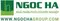 CÔNG TY CỔ PHẦN THUONG MẠI VÀ DỊCH VỤ NGỌC HÀ