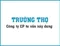 CÔNG TY CỔ PHẦN TƯ VẤN XÂY DỰNG TRƯỜNG THỌ