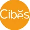 CÔNG TY TNHH CIBES LIFT VIỆT NAM