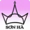 Công ty TNHH Thương mại Sơn Hà