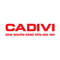 Công ty CP Dây cáp điện Việt Nam (CADIVI)