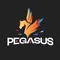 Công Ty TNHH Pegasus