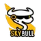 CÔNG TY CP CÔNG NGHỆ SKYBULL VIỆT NAM