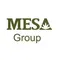 CN CÔNG TY TNHH DỊCH VỤ VÀ THƯƠNG MẠI MESA