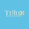 CÔNG TY TNHH TRILUX GROUP