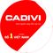 Công ty CP Dây cáp điện Việt Nam (CADIVI)
