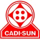 CÔNG TY CỔ PHẦN DÂY VÀ CÁP ĐIỆN THƯỢNG ĐÌNH