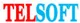 Công ty cổ phần Telsoft