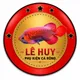 CÔNG TY TNHH TM LÊ HUY