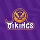 CÔNG TY CỔ PHẦN VIKINGS VIỆT NAM