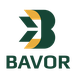 CÔNG TY TNHH MỘT THÀNH VIÊN BAVOR CONSULTING