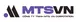 CÔNG TY TNHH MTS VN CORPORATION