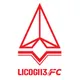 Công ty cổ phần LICOGI13FC