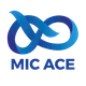 CÔNG TY CỔ PHẦN NỀN TẢNG SỐ MIC ACE