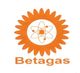 CÔNG TY TNHH KHÍ DẦU MỎ HÓA LỎNG BE TA GAS