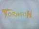 CÔNG TY CỔ PHẦN TORAGON HE