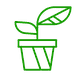 CÔNG TY TNHH MEGA SEED