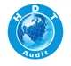 Công ty TNHH Kiểm toán HDT Việt Nam