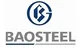 CÔNG TY TRÁCH NHIỆM HỮU HẠN XÂY DỰNG BAOSTEEL (VIỆT NAM)