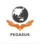 CÔNG TY CỔ PHẦN TƯ VẤN VÀ ĐẦU TƯ PEGASUS - CHI NHÁNH HÀ NỘI