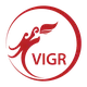 CÔNG TY TNHH VIGROUP
