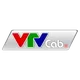 CÔNG TY CỔ PHẦN PHÁT TRIỂN THỂ THAO VTVCAB