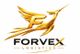 CÔNG TY TNHH FORVEX LOGISTICS VIỆT NAM