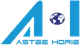 CÔNG TY TNHH ASTEE HORIE VN