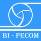 CÔNG TY CỔ PHẦN VÒNG BI PECOM