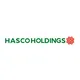 CÔNG TY CỔ PHẦN ĐẦU TƯ HASCO HOLDINGS