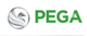 CÔNG TY CỔ PHẦN XE ĐIỆN PEGA LTT