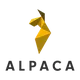 Công Ty Cổ Phần Alpaca Việt Nam